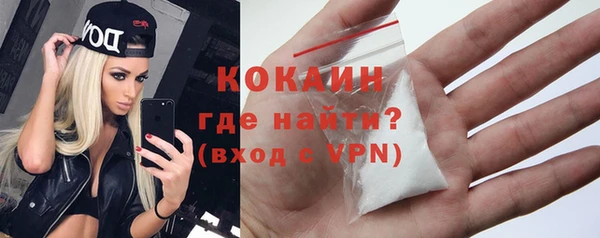 бошки Лагань
