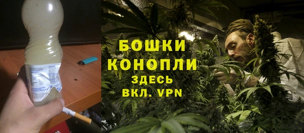 бошки Лагань